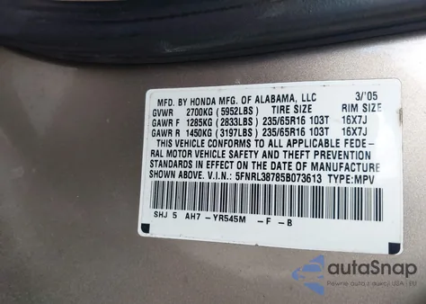 2005 Honda Odyssey Ex-L z USA, uszkodzony, nr VIN 5FNRL38785B073613
